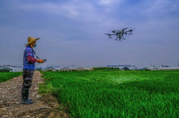 1761377864709909.png image.png