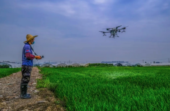 1761377944138410.png image.png