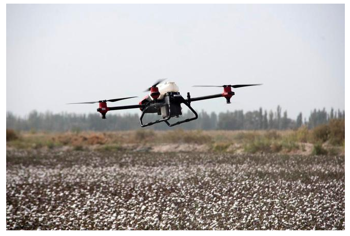 1761621352287109.png image.png