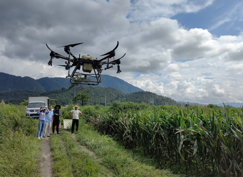 1761623255958637.png image.png