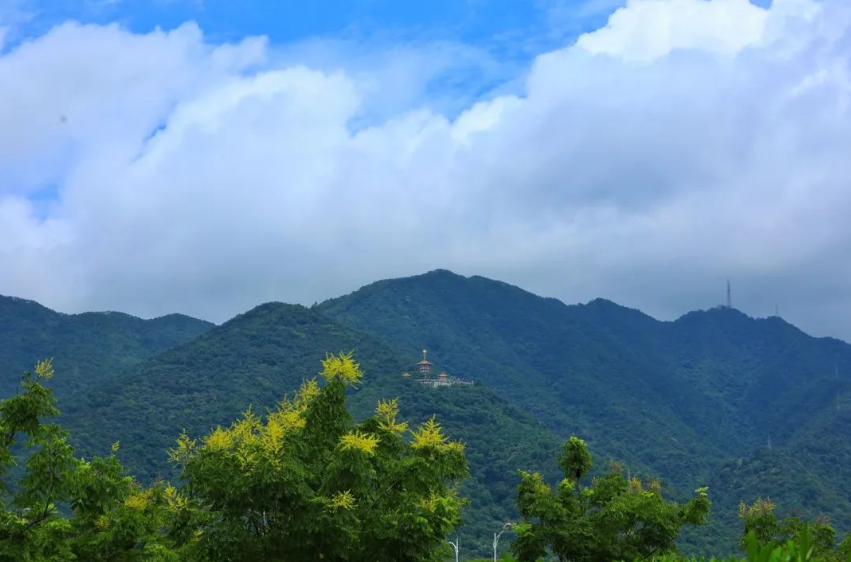 1763291193910921.png image.png