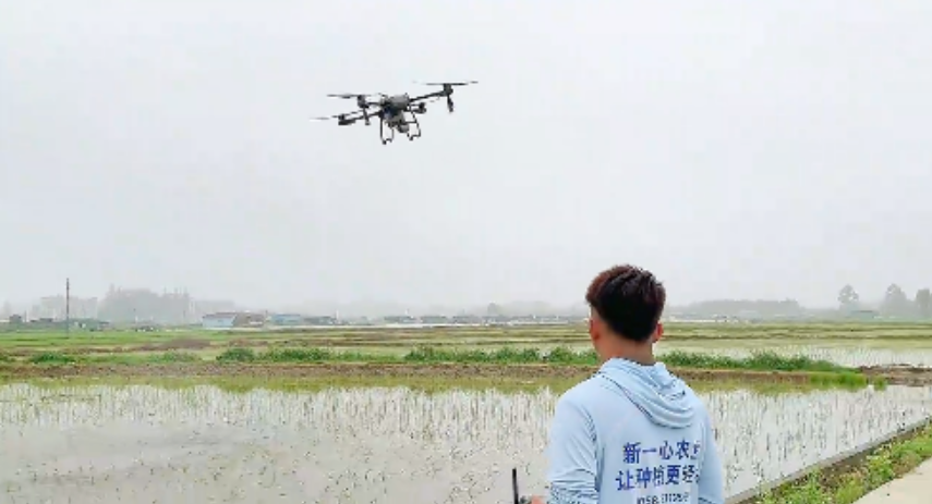 1763291220831390.png image.png