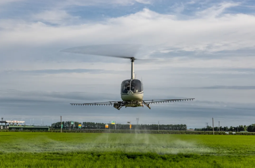 1763292469115282.png image.png