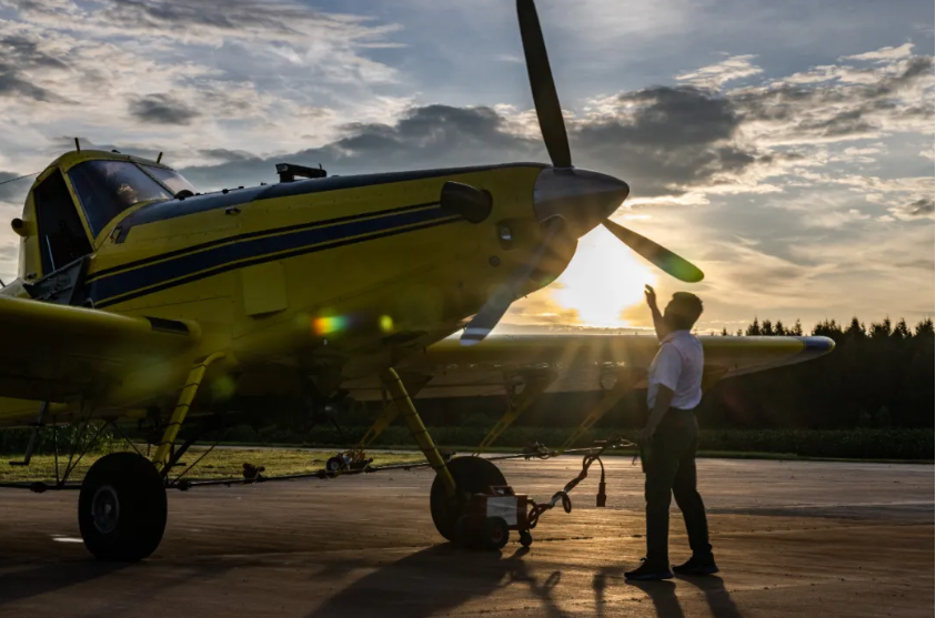 1763292481966473.png image.png