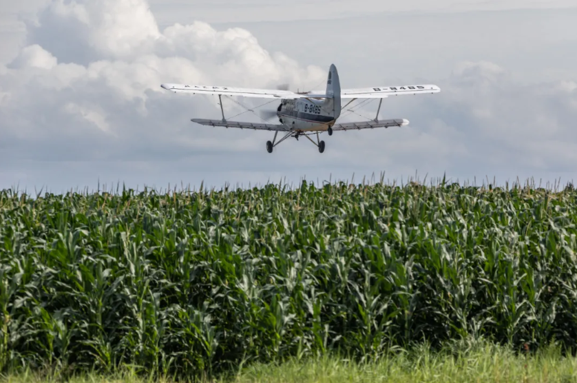 1763292521224393.png image.png