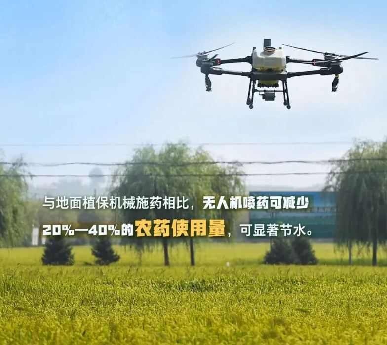 1763293187809482.png image.png