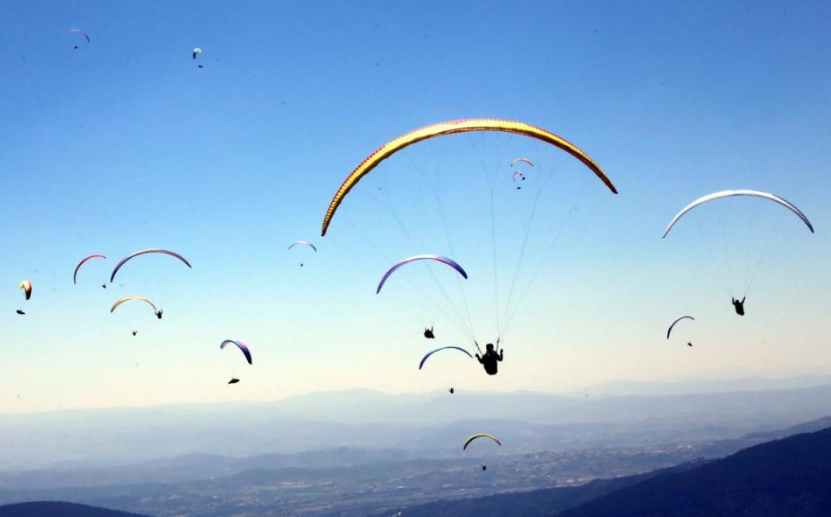 1763598448425358.png image.png