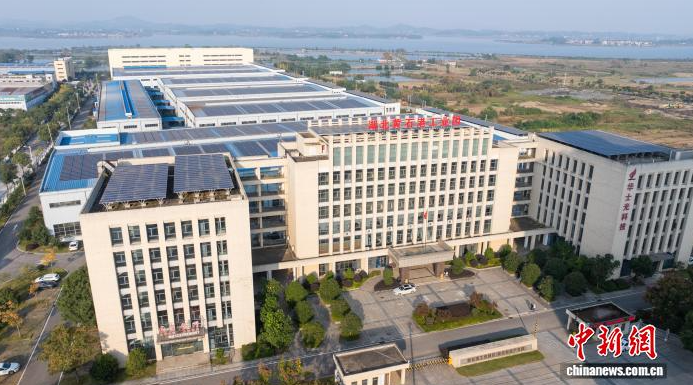 1764038295329816.png image.png