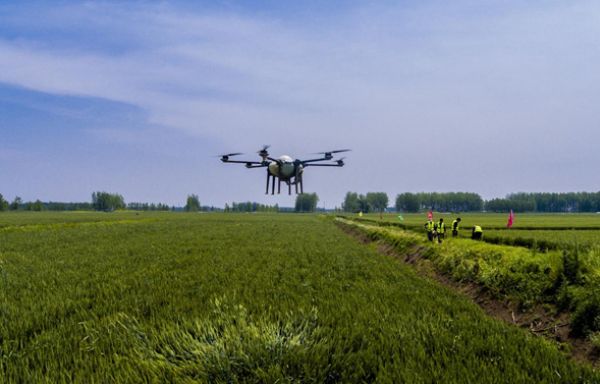 1764143674656494.png image.png