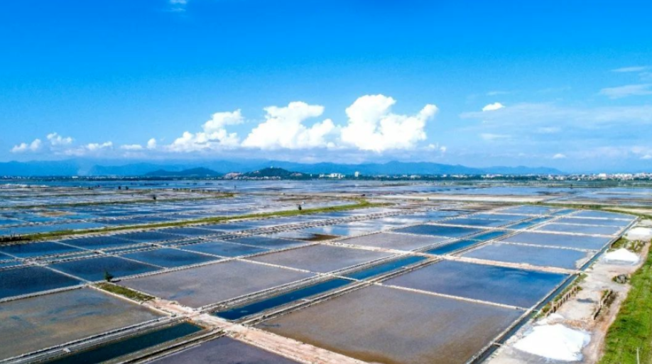 1764146367356959.png image.png